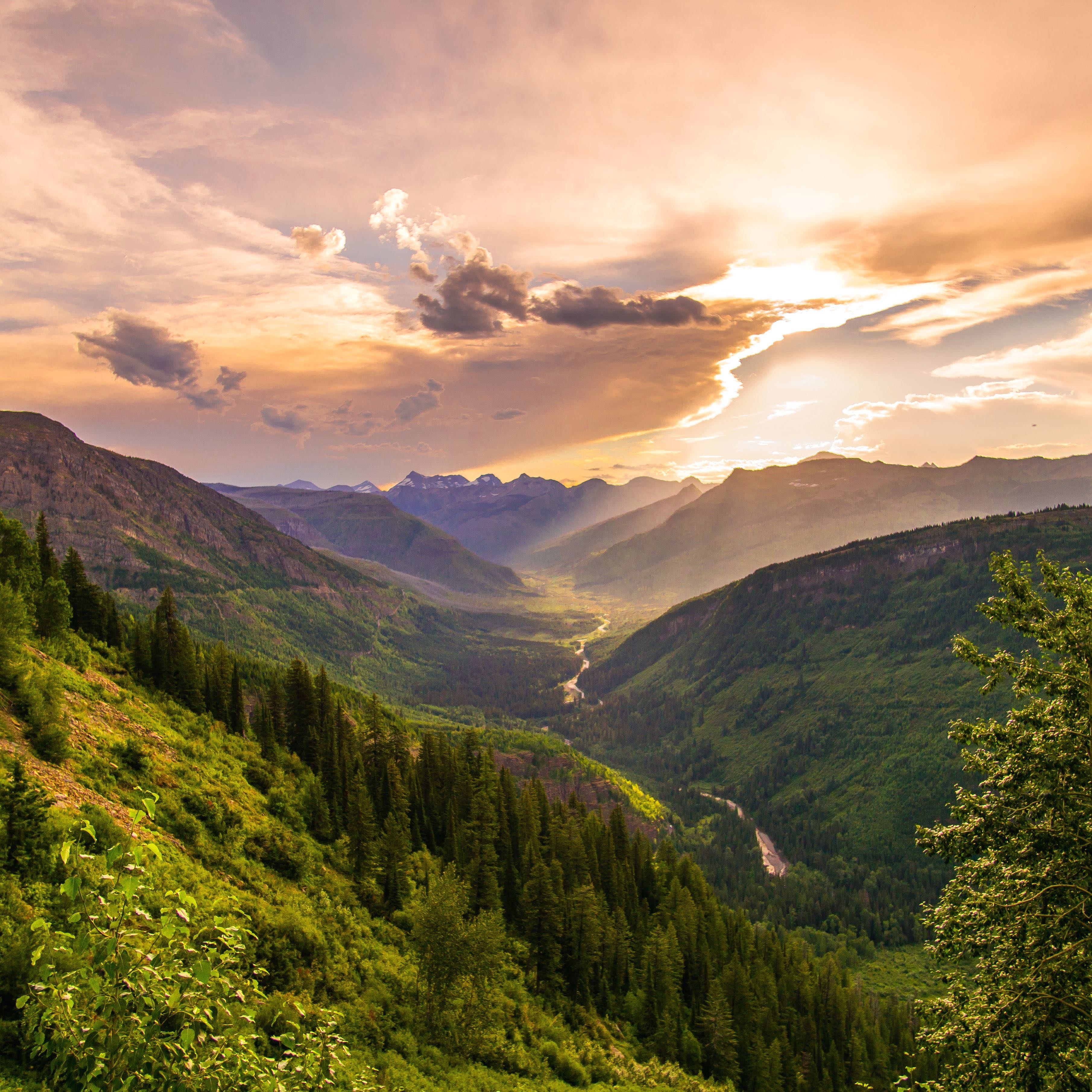 forest-with-sunshine-square.jpg